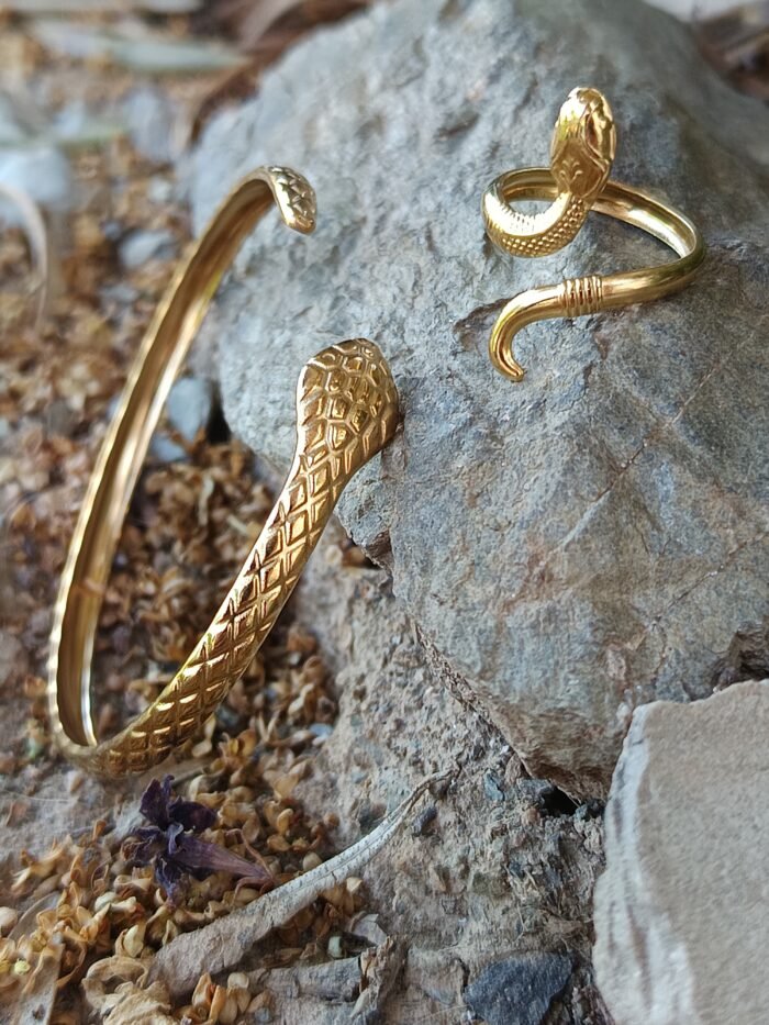 conjunto serpiente