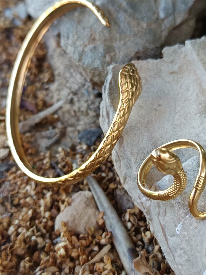 conjunto serpiente