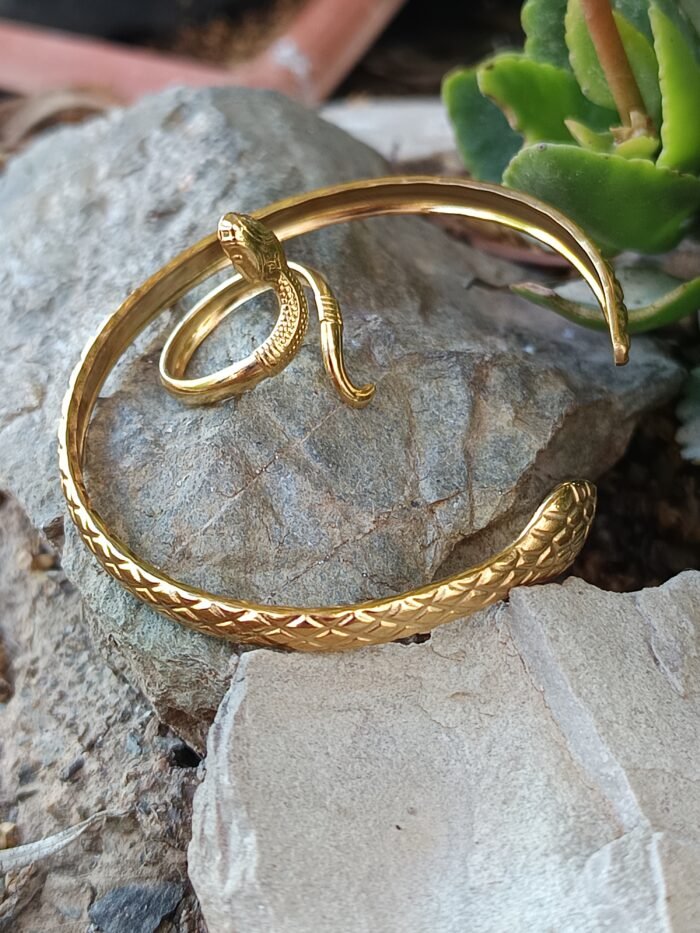 conjunto serpiente